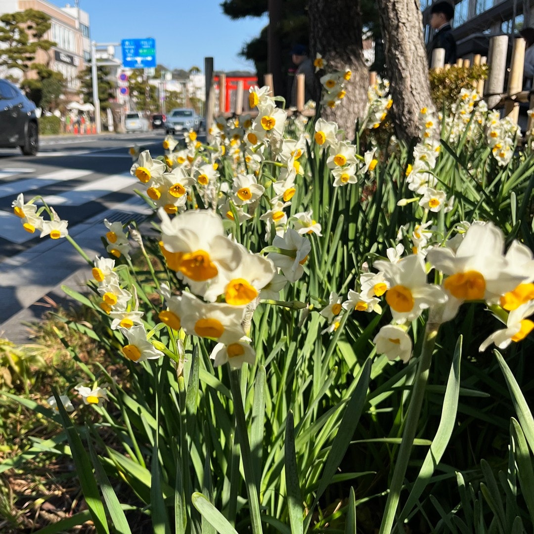 コーヒーゼリー