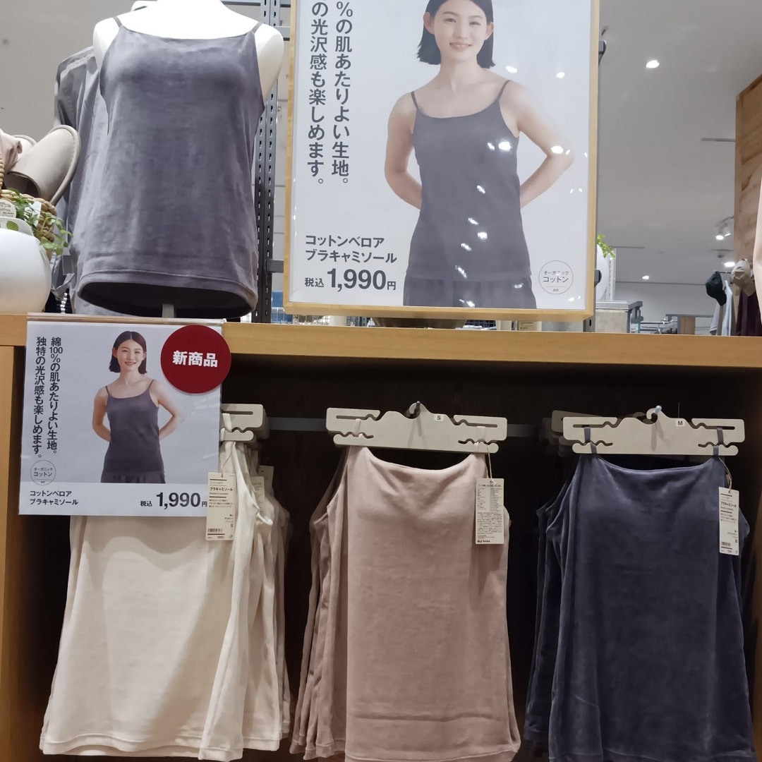 スタッフのおすすめ