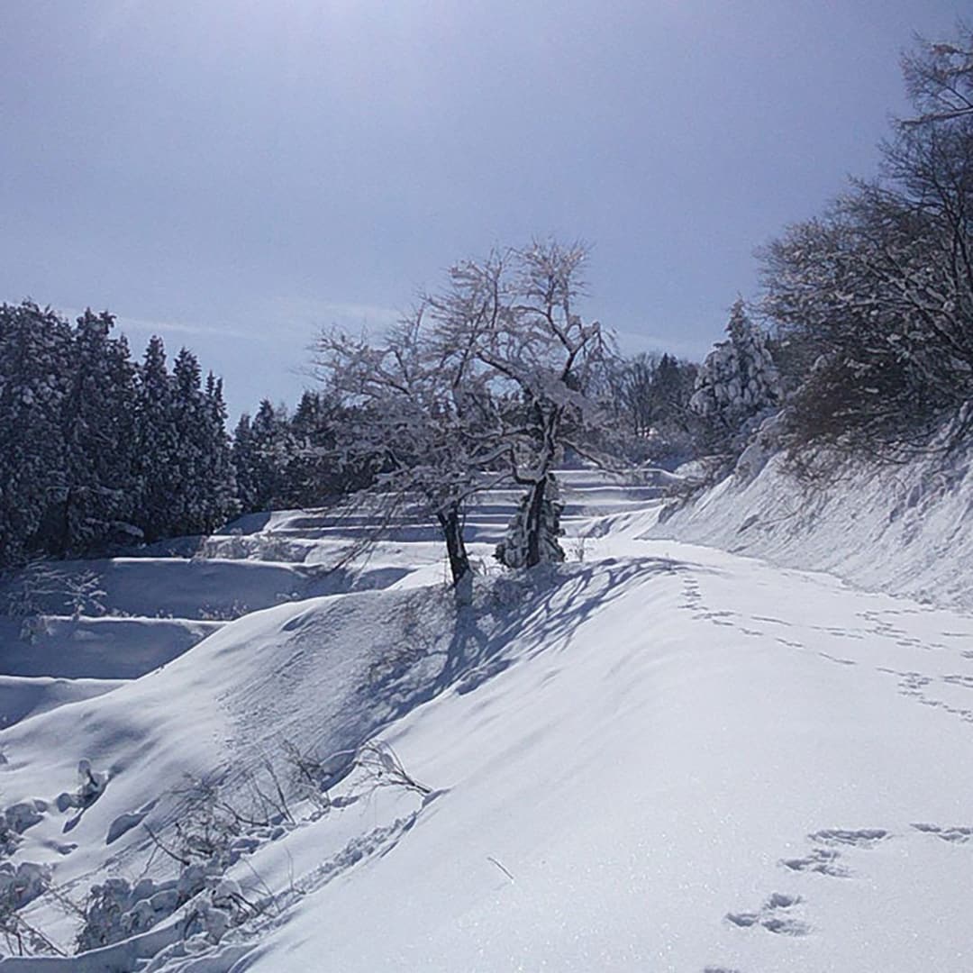 雪景色