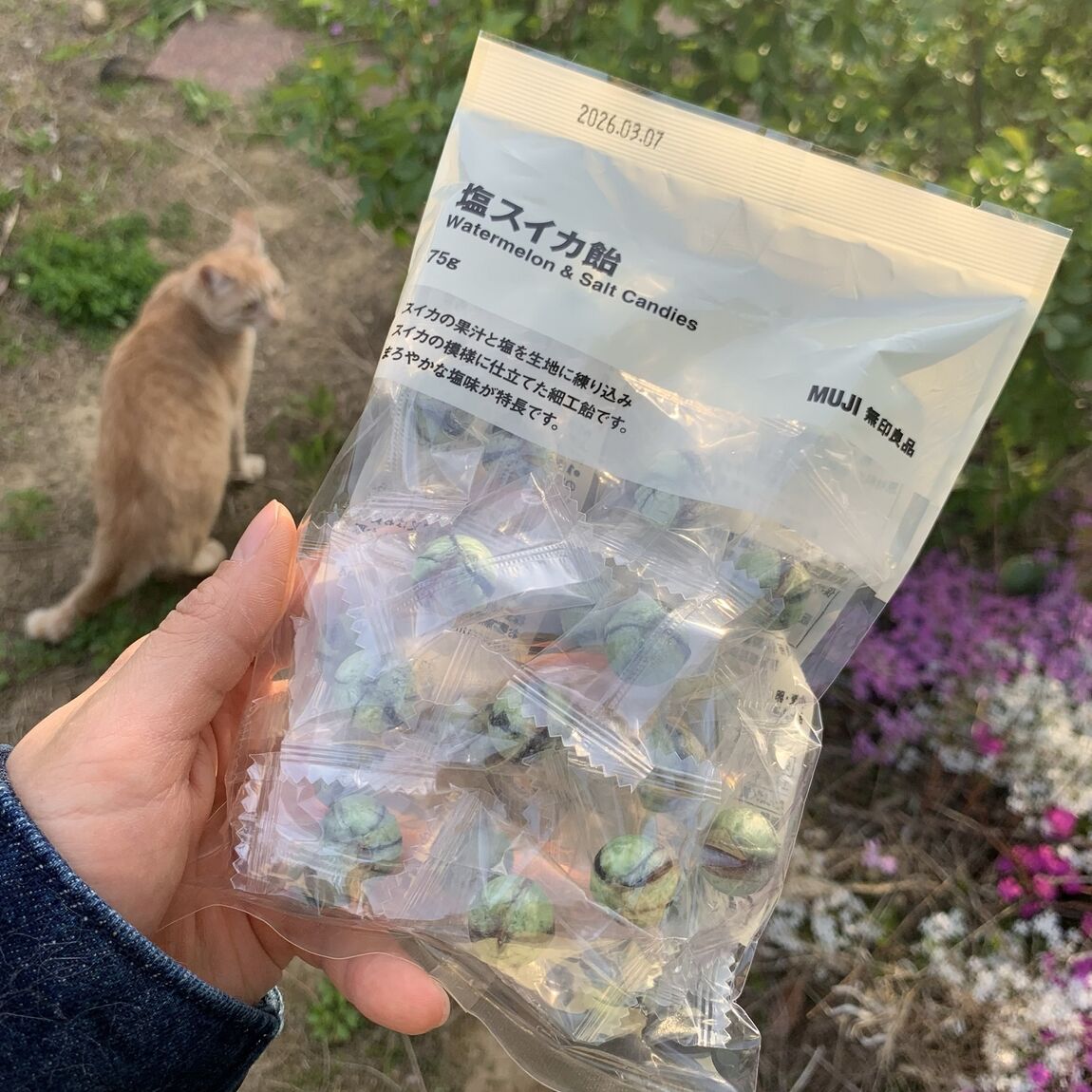 きれい