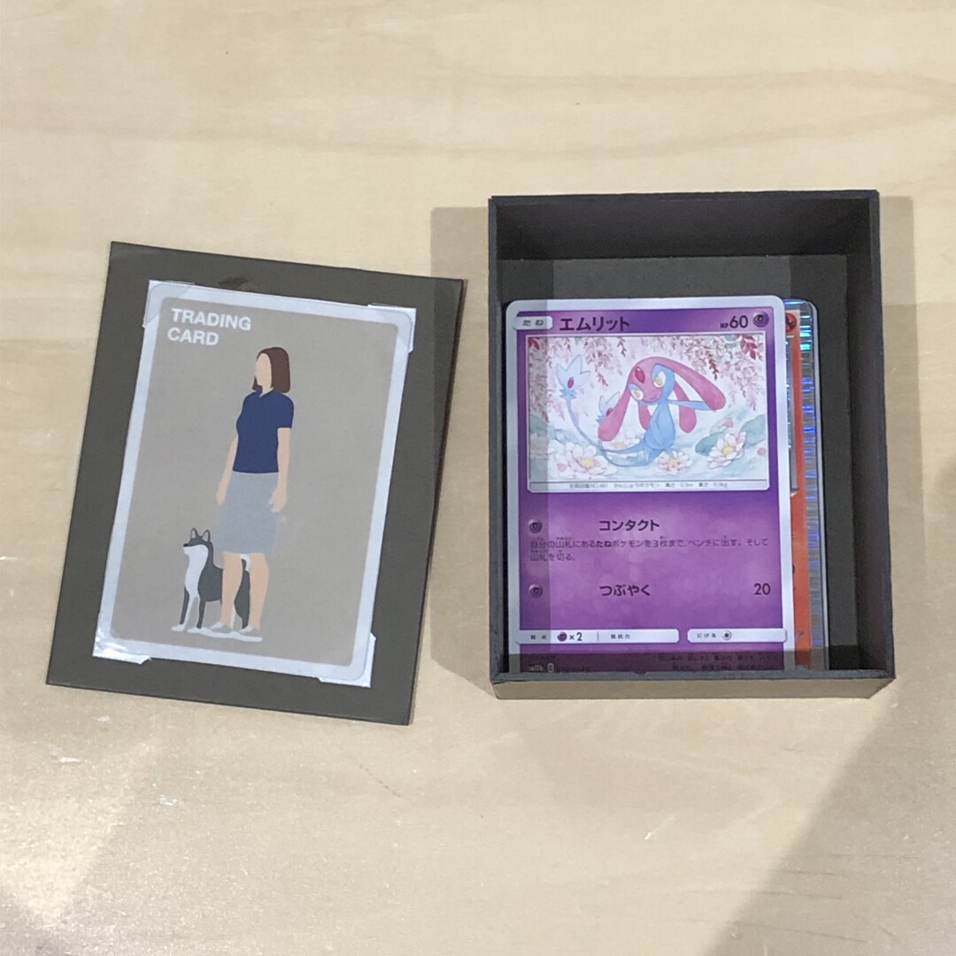 集めて楽しむコレクションシリーズ