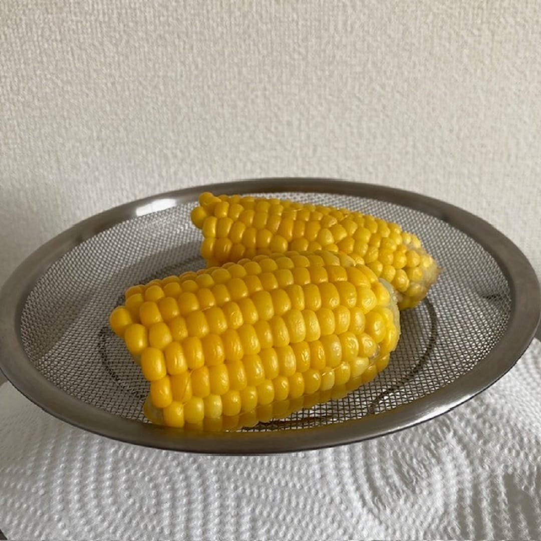 ステンレス平ザル