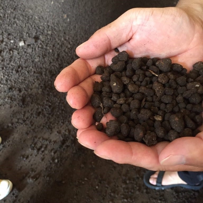【CaféMUJIピオレ明石】～産地に教わる～淡路島『北坂養鶏場』に行ってきました