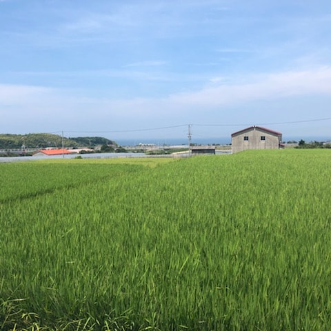 【CaféMUJIピオレ明石】～産地に教わる～淡路島『北坂養鶏場』に行ってきました