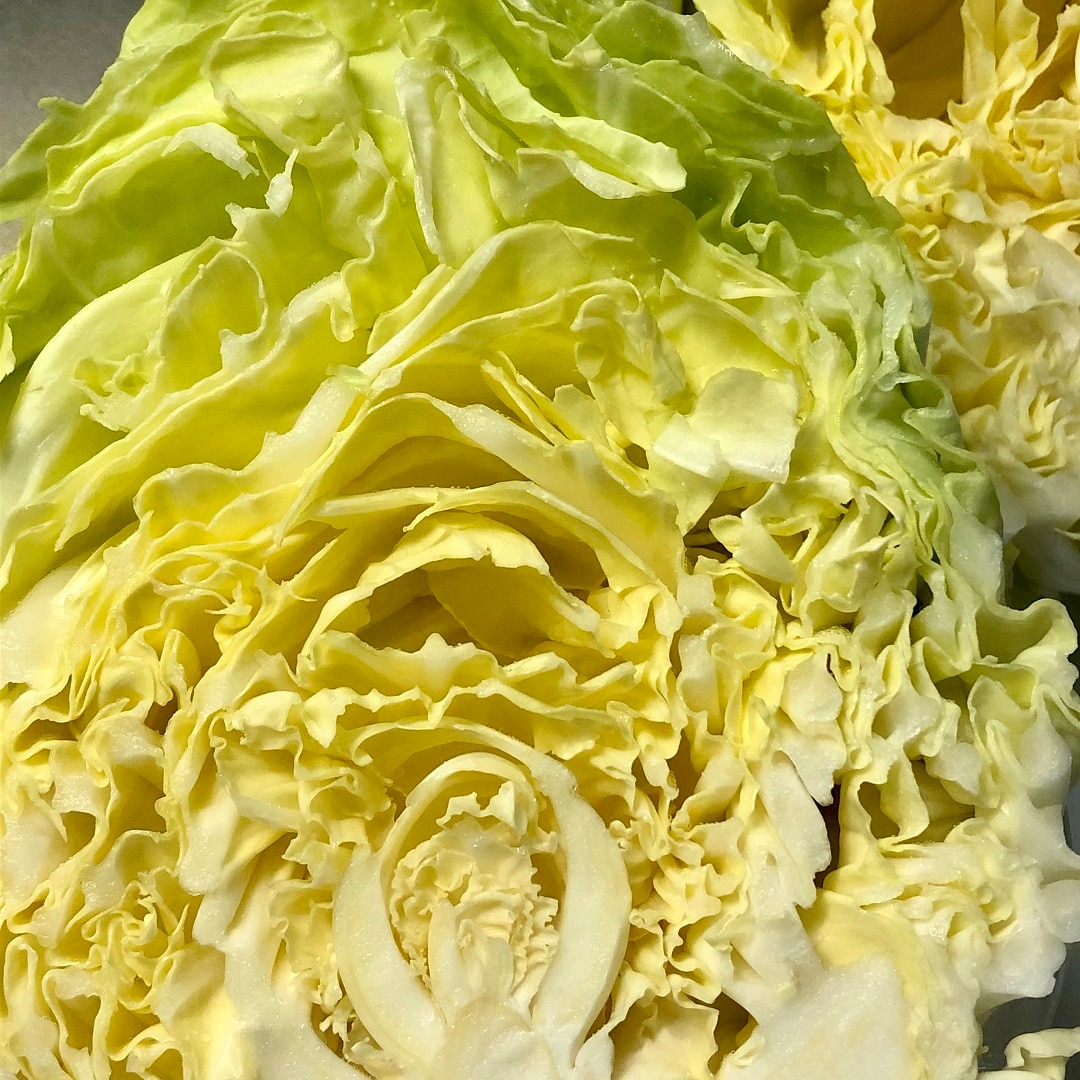 【Café&Meal MUJI日比谷】春キャベツの断面の写真