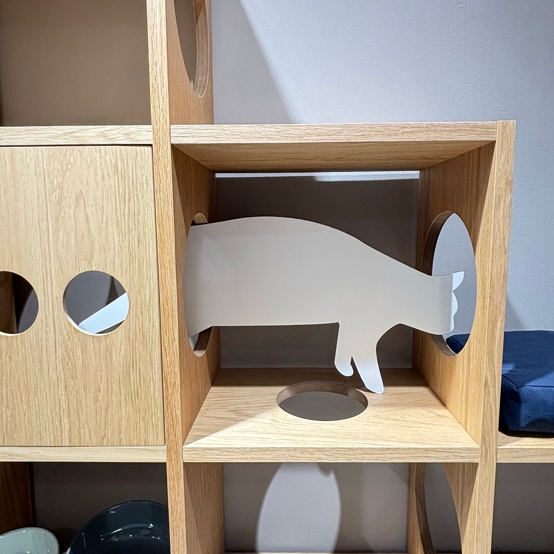 猫が穴を通り抜けている写真