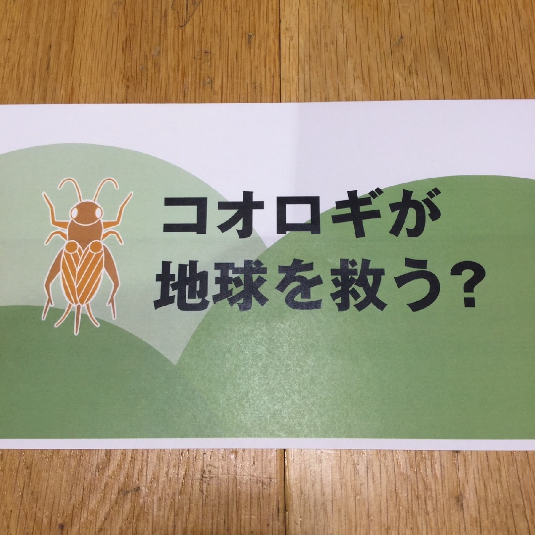 【そごう横浜】コオロギチョコ