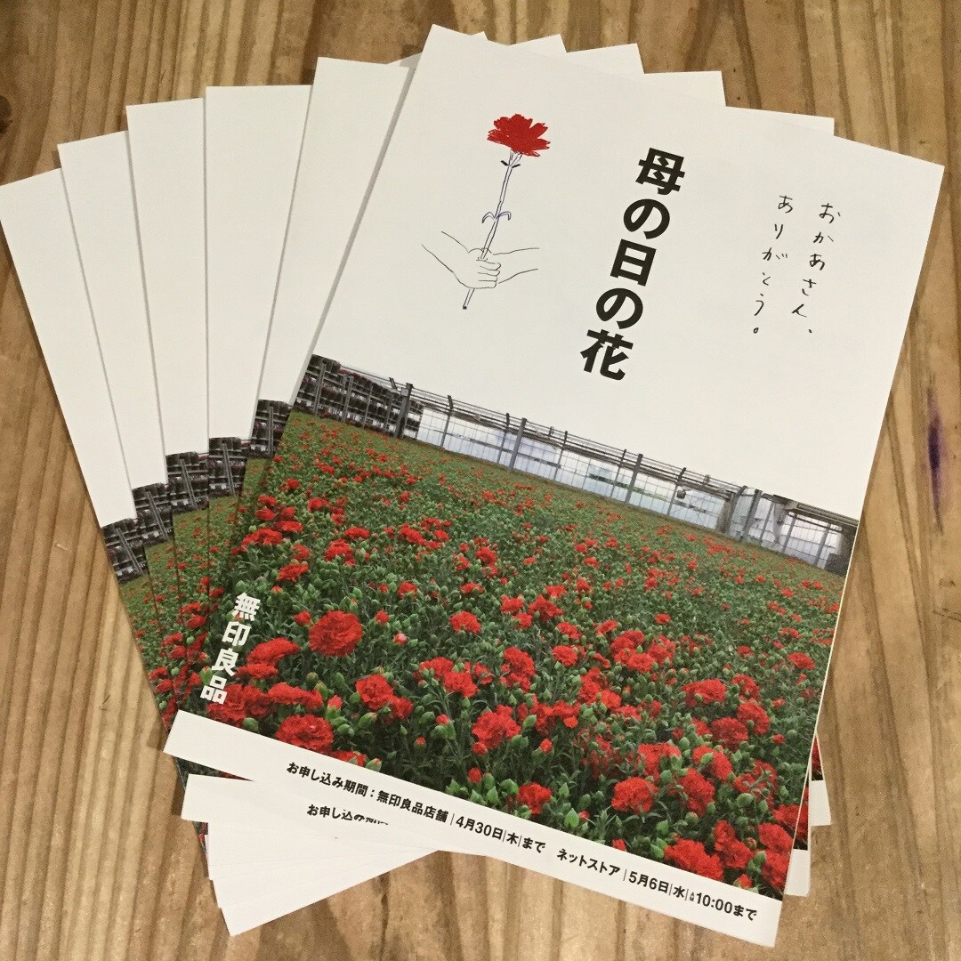 【大津西武】母の日の花