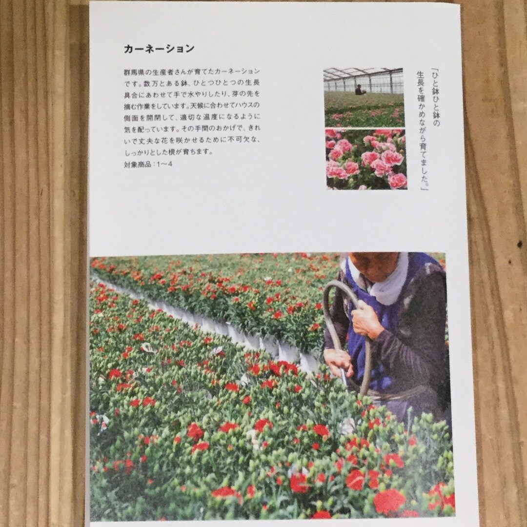 【大津西武】母の日の花