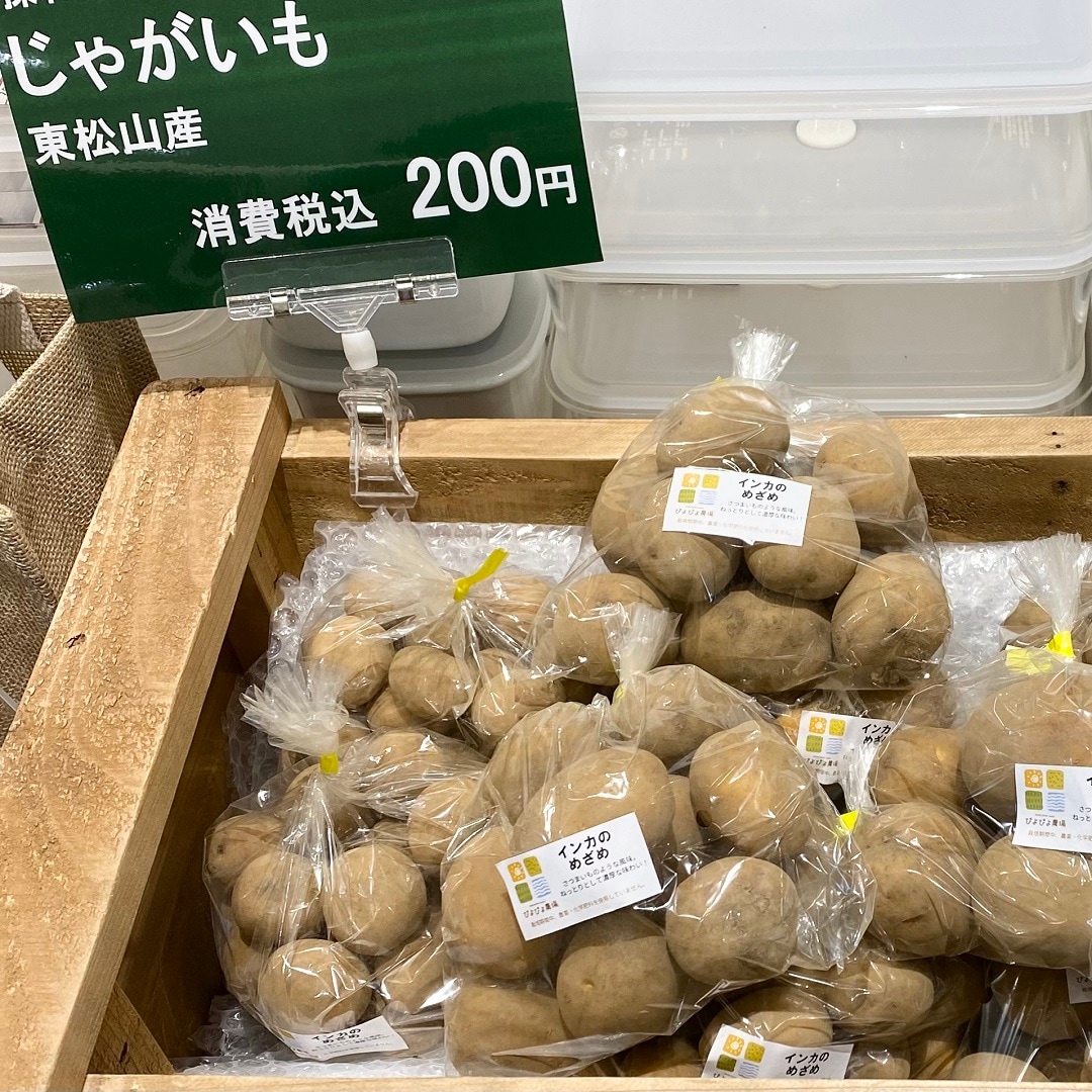 松山旬菜｜季節の野菜が入荷しました