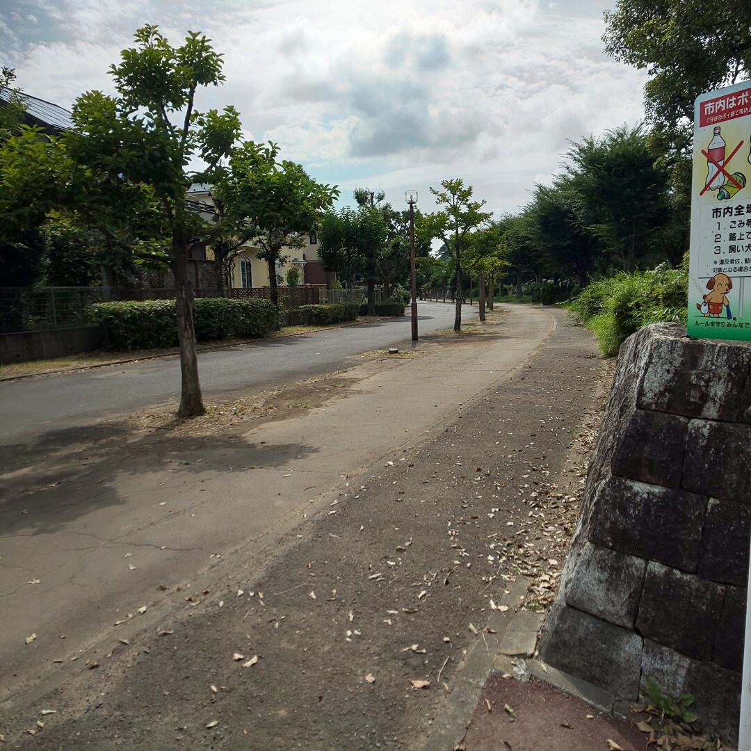 【イオンタウン守谷】公園までの道