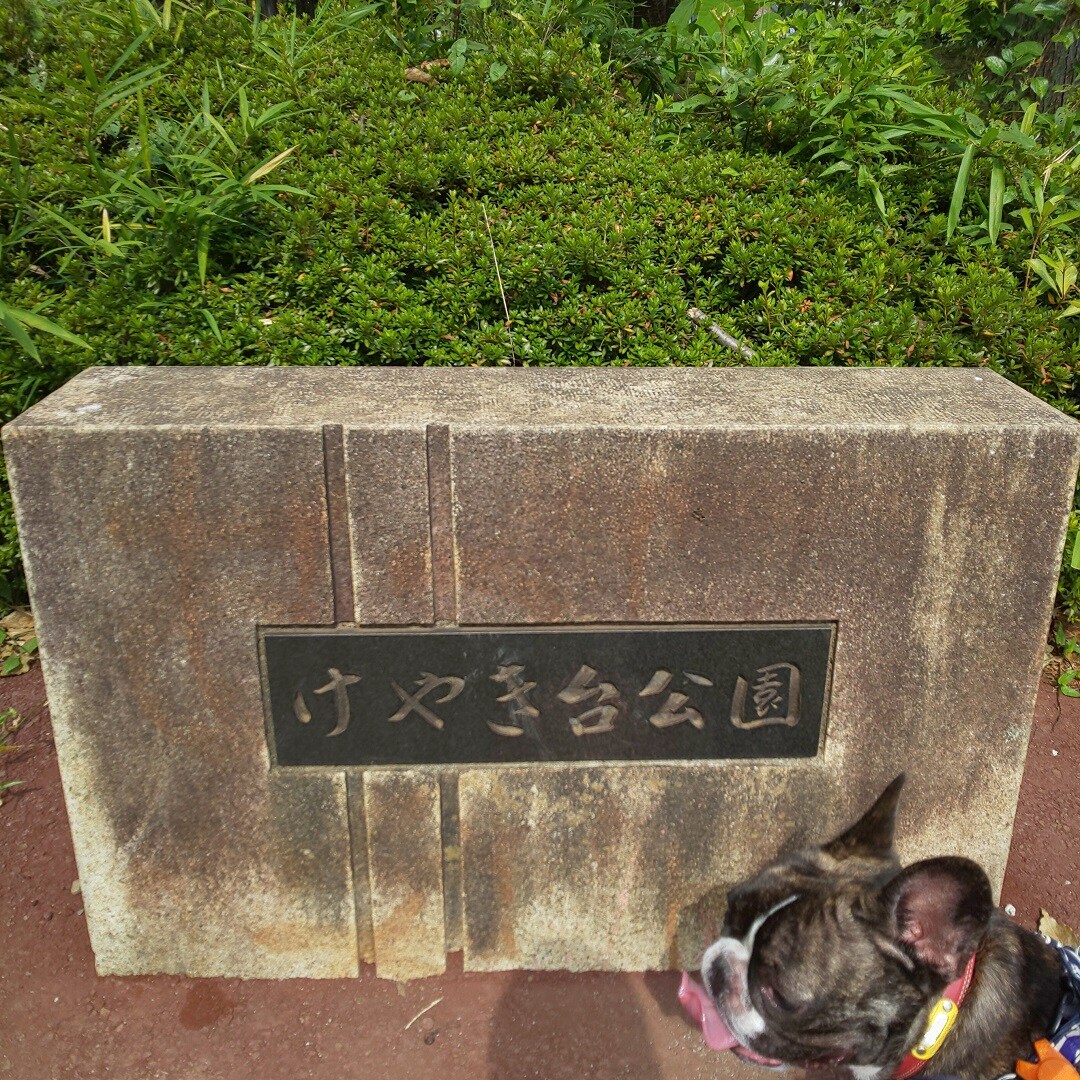 【イオンタウン守谷】公園の石碑