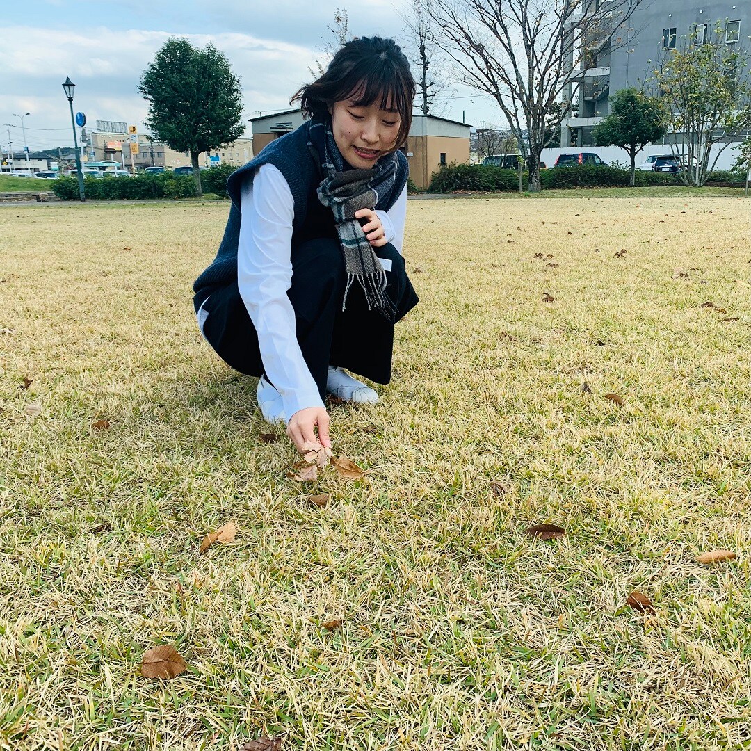 【トキハわさだタウン】わったんコレクション