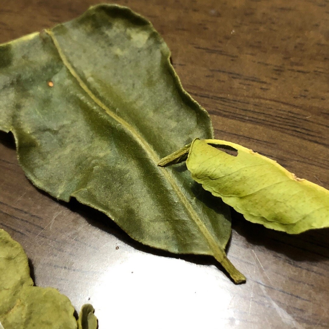 【ゆめタウン下松】グリーンカレー、夏仕様