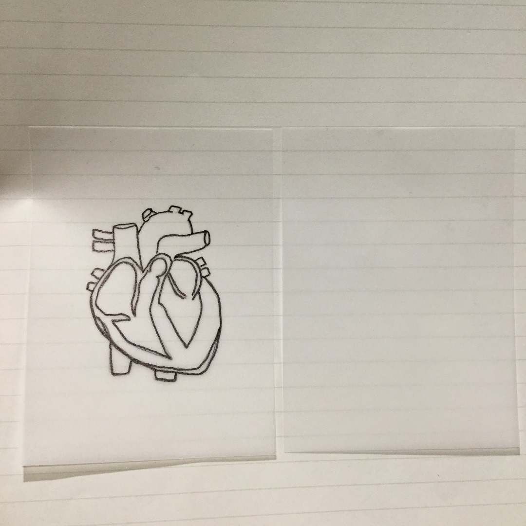 心臓の絵