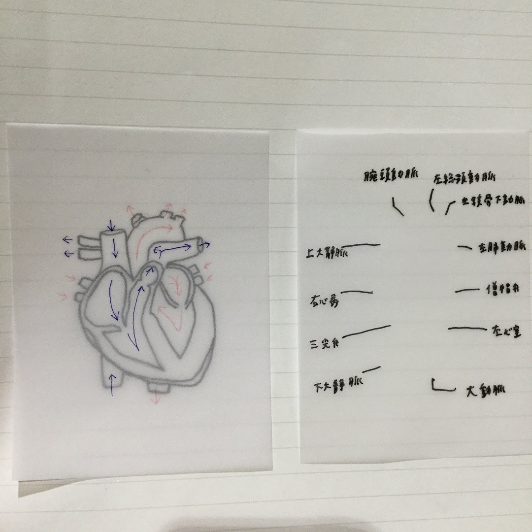 追加付箋２