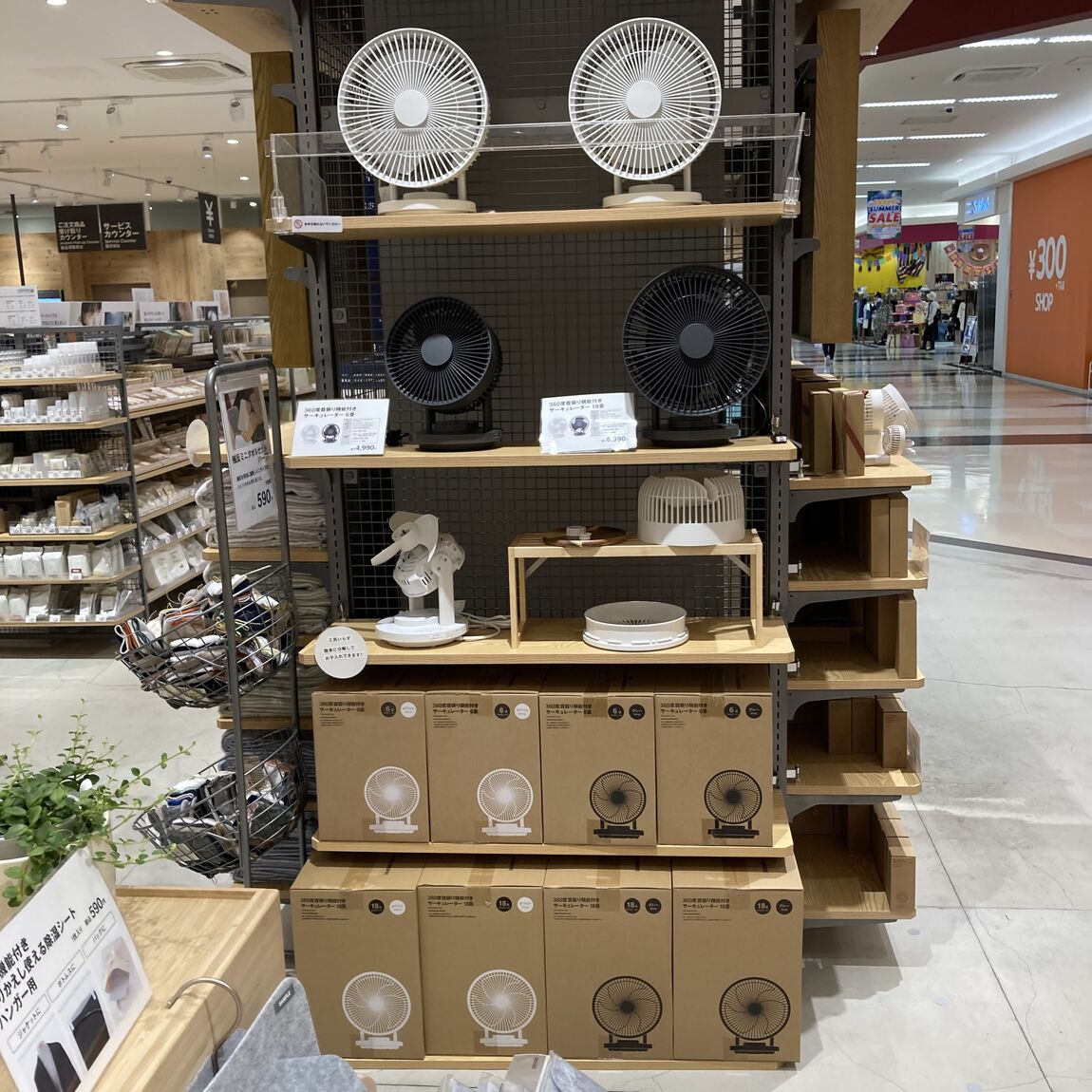 展示