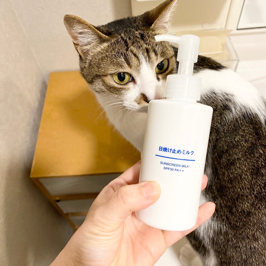 【セントレアスカイタウン】MUJIオタスタッフの愛着レポ