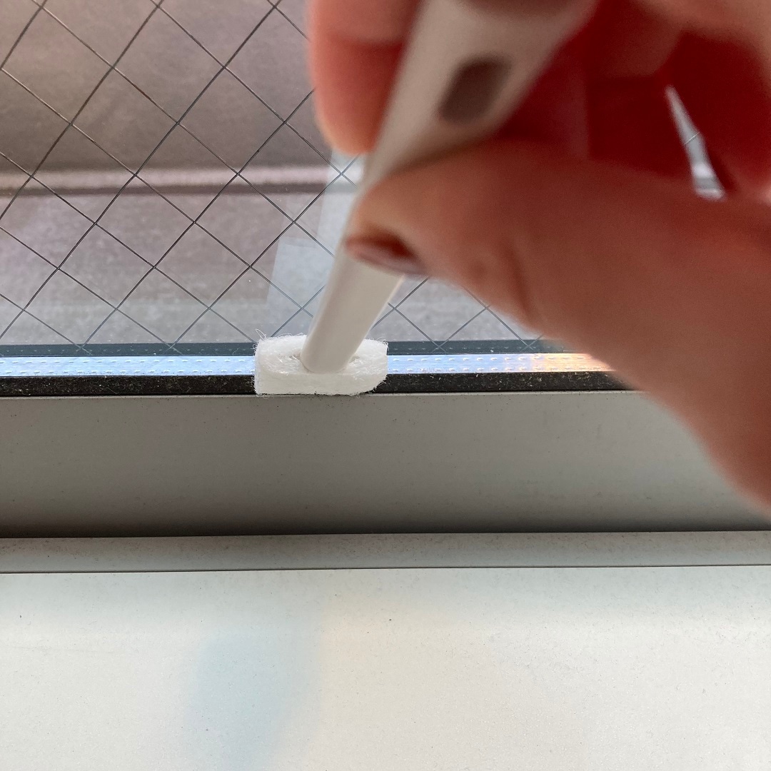 スポンジ