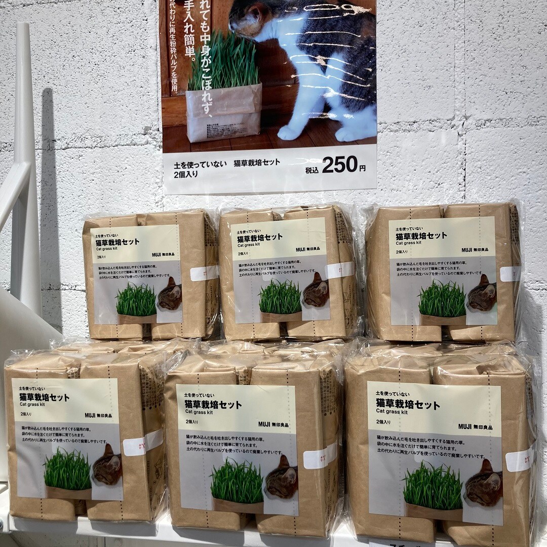 猫草売り場