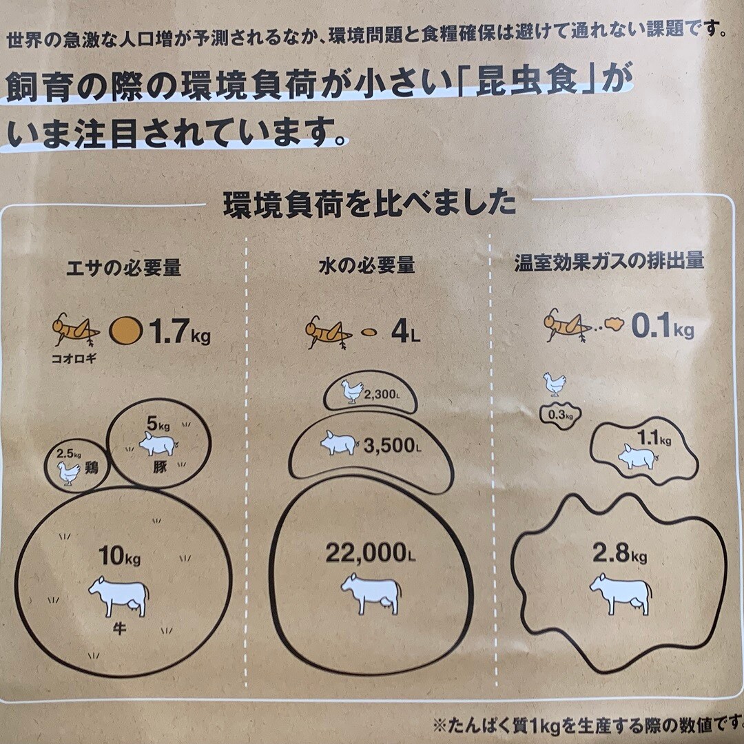 未来食コオロギ