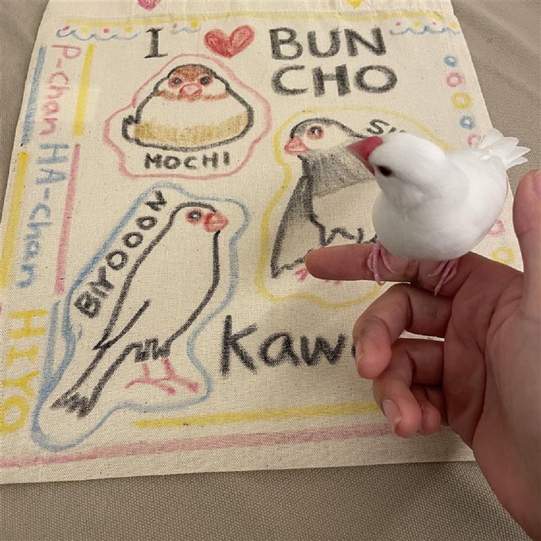【アピタ島田】文鳥さんと