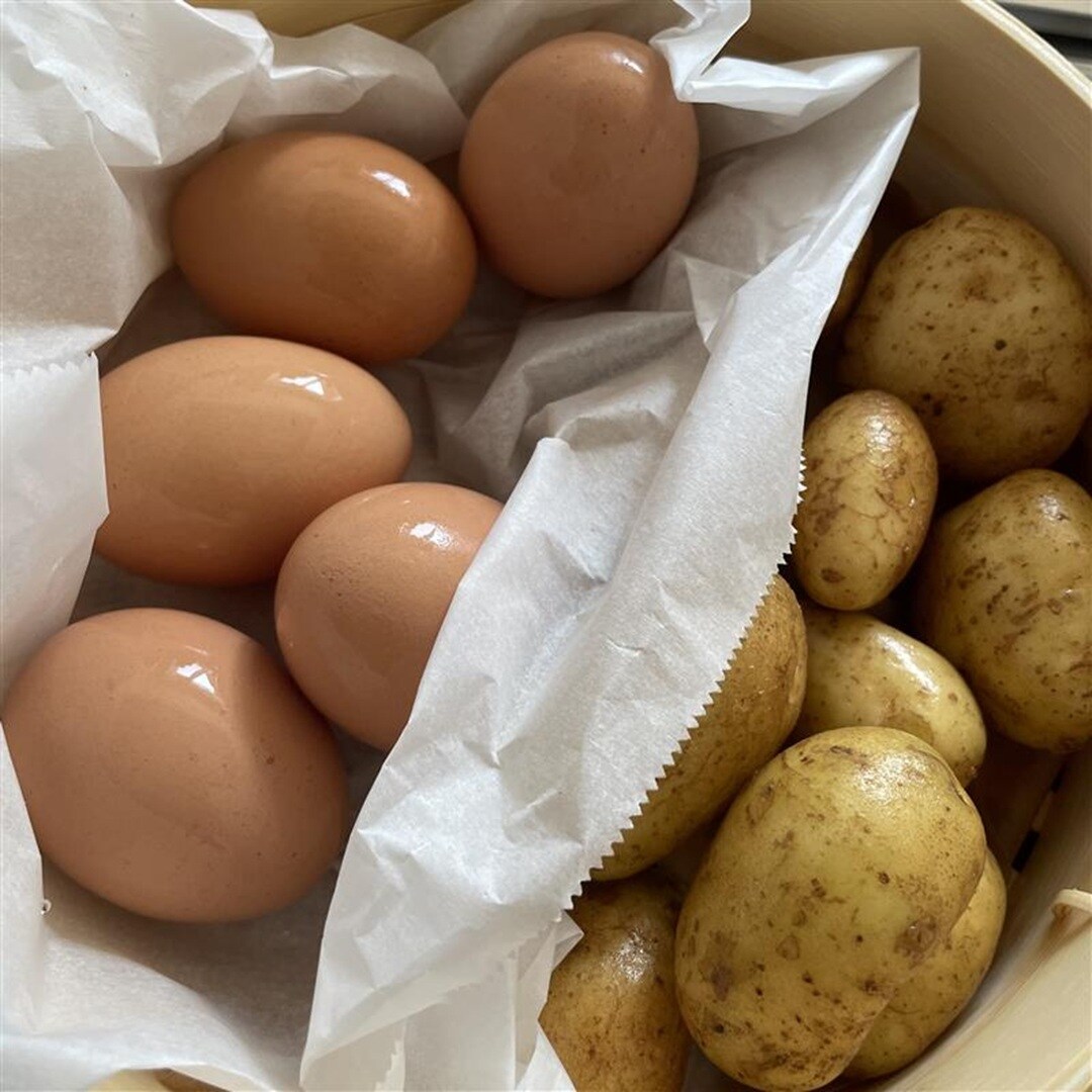 【アピタ島田】せいろの中身