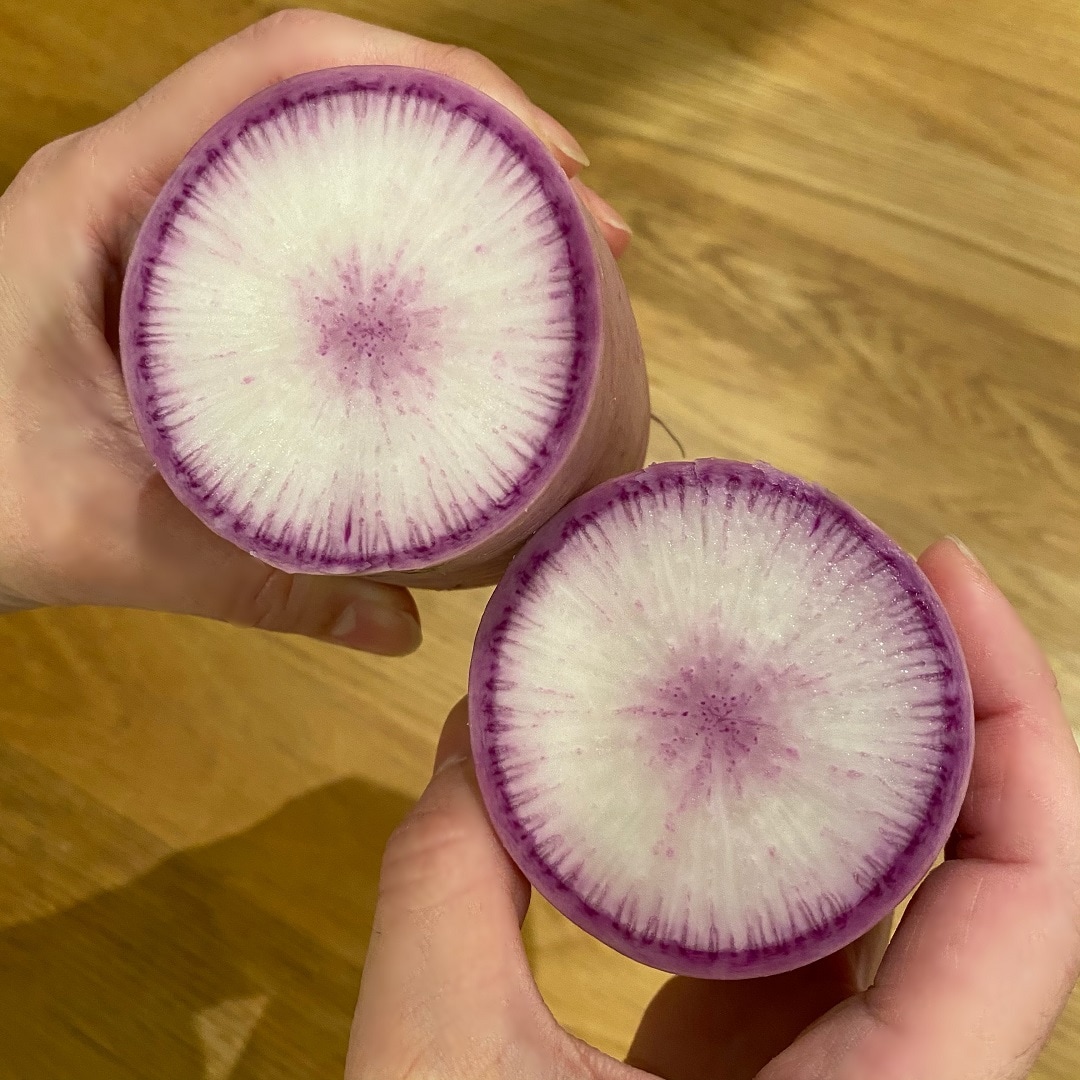 紫大根切り口