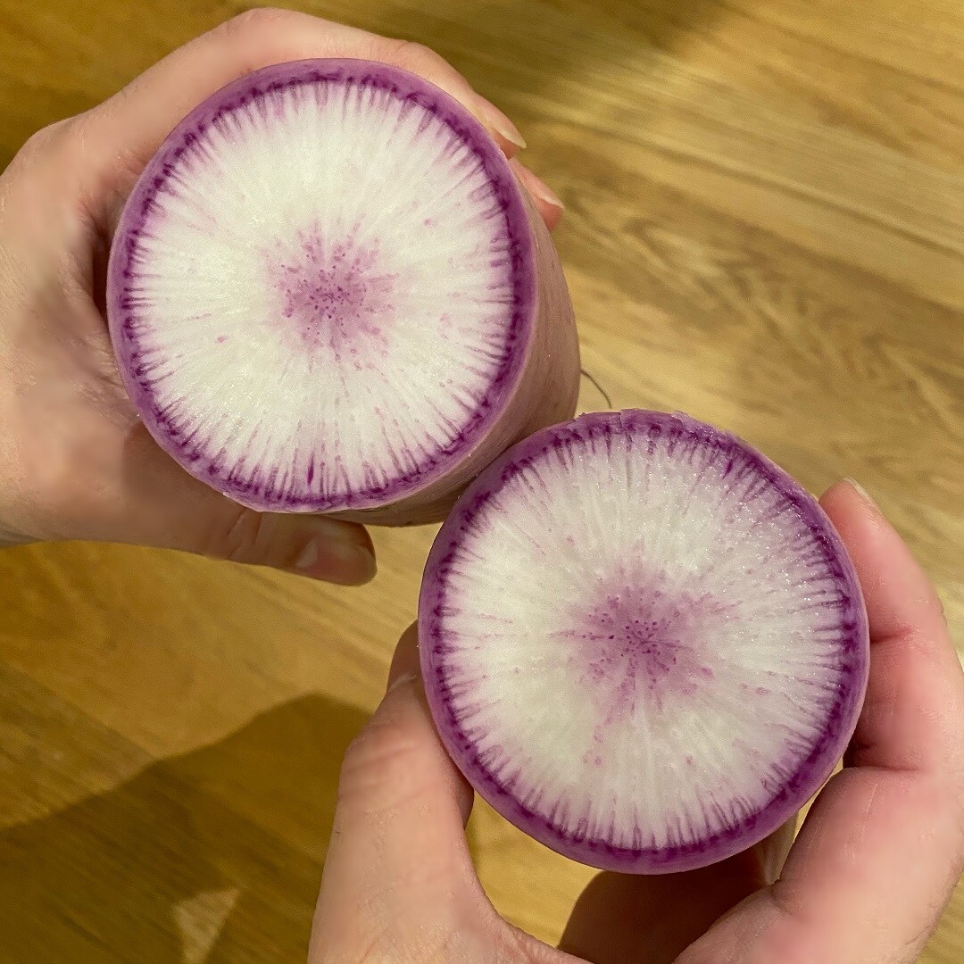 紫大根切り口