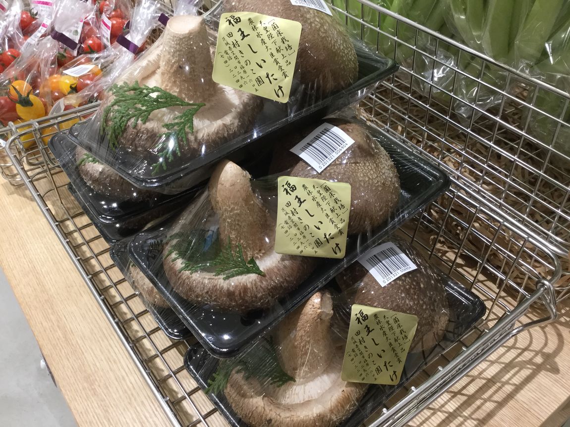 福王しいたけ
