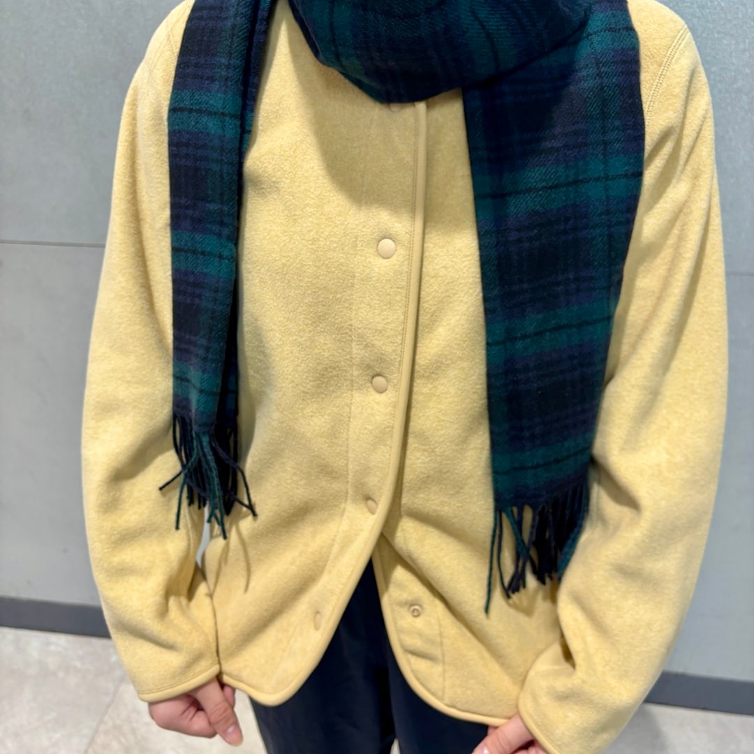 メイン2