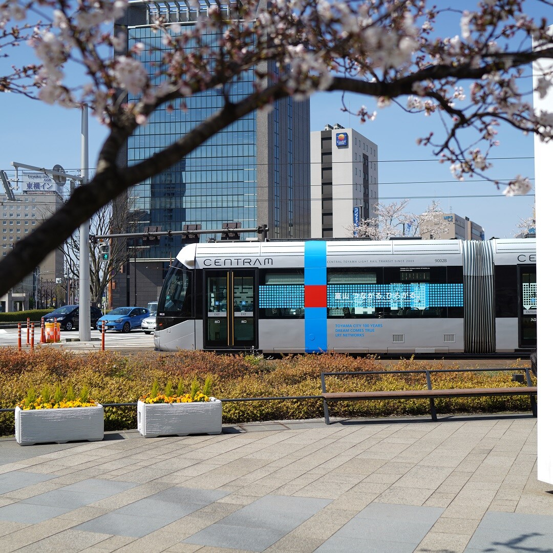 【マリエとやま】桜③