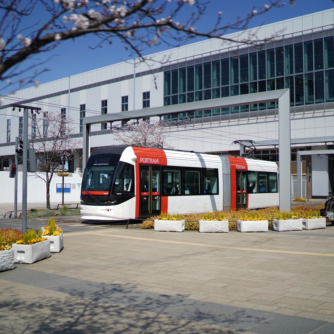 【マリエとやま】桜④