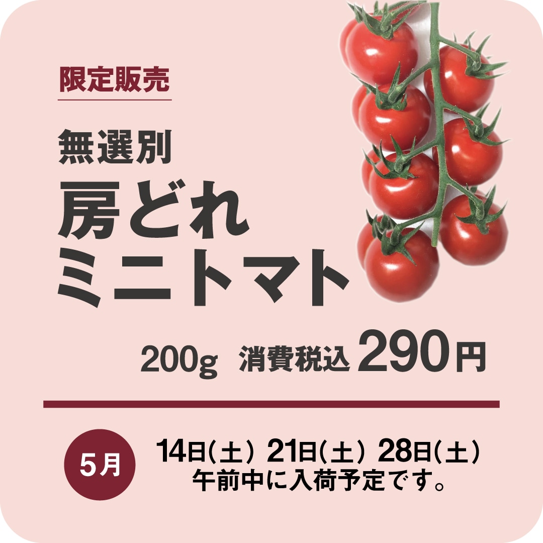 【名古屋名鉄百貨店】房どれミニトマト