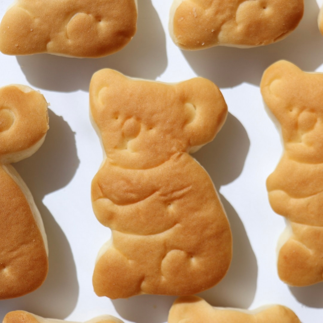 コアラパンの写真