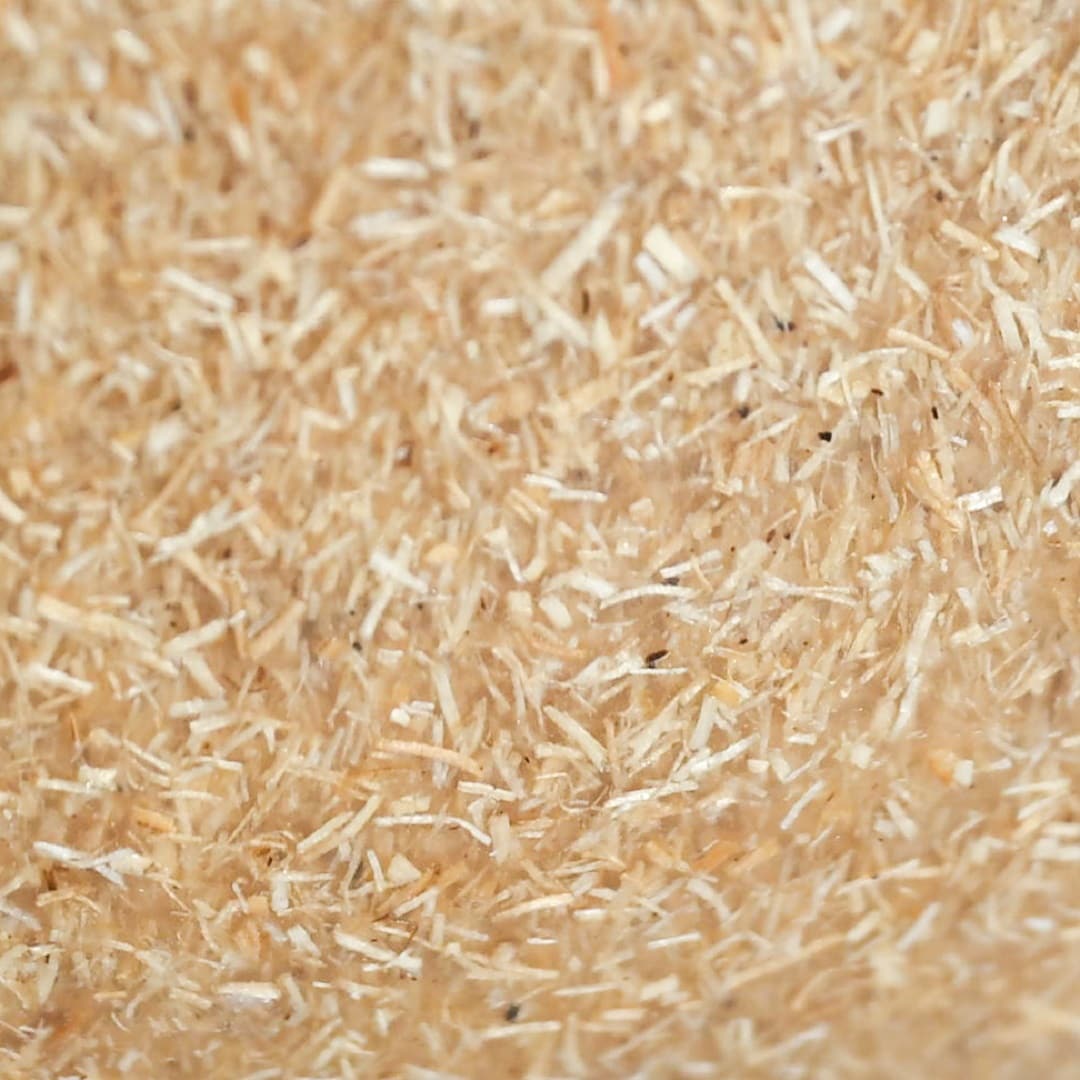 食器の寄り写真