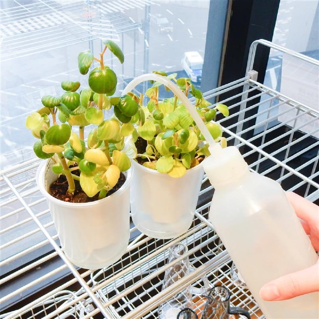 スタッフの1日の写真