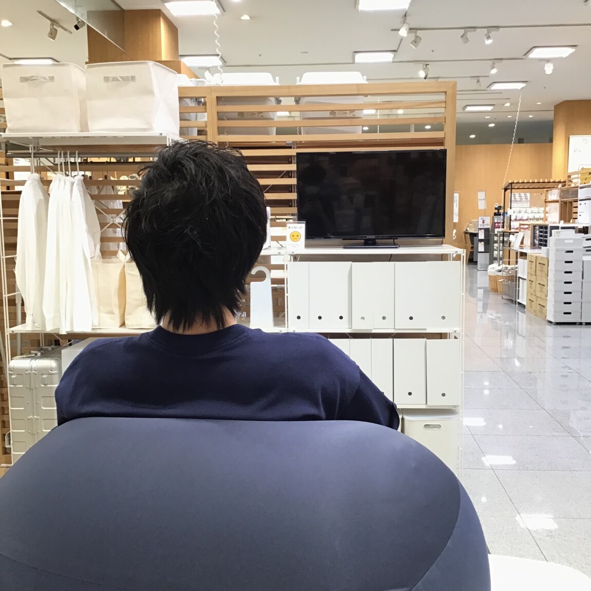 フィット