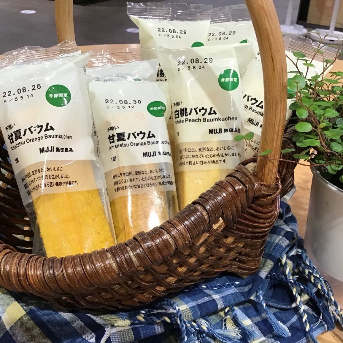 【イオンモールKYOTO】不揃いバウムを食べ比べしませんか？