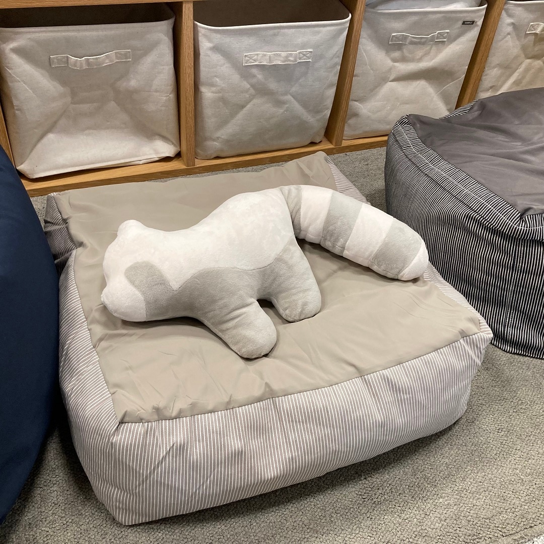 【イオンモール神戸北】猫との暮らしを快適に