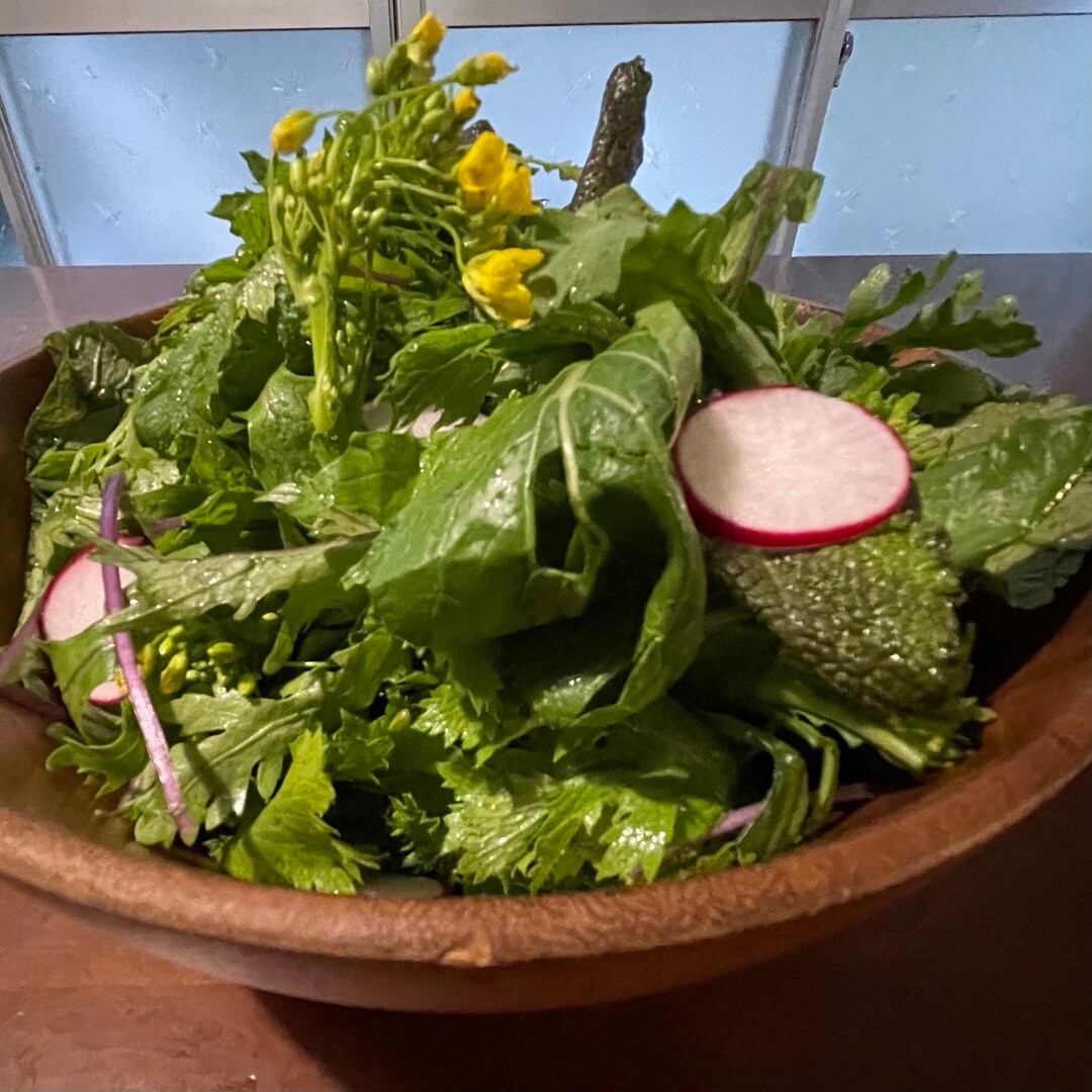 【セレオ国分寺】今週の朝採れ野菜