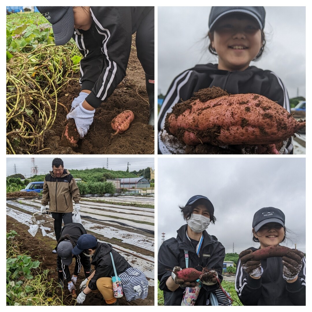 野菜収穫体験の写真1