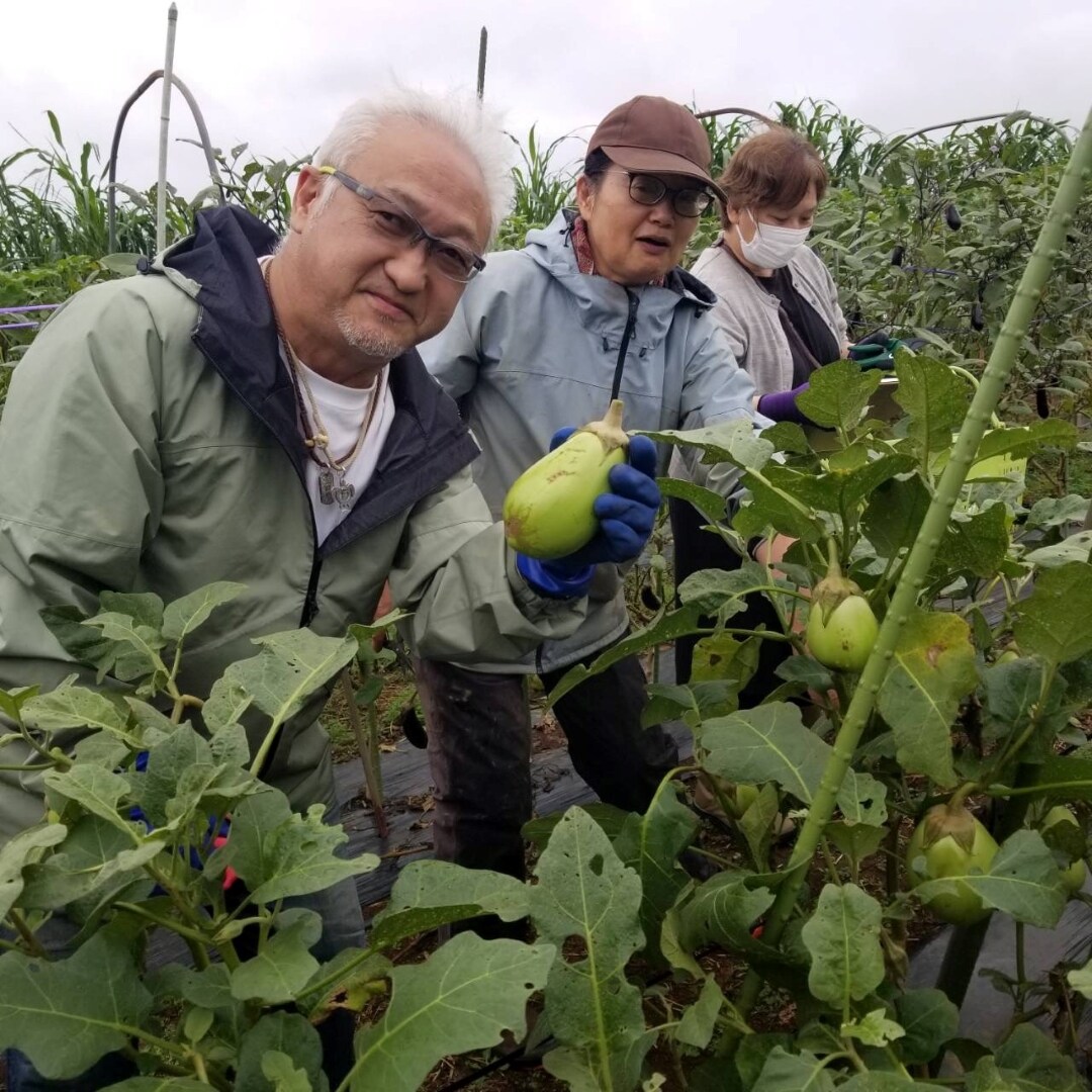 野菜収穫体験の写真8
