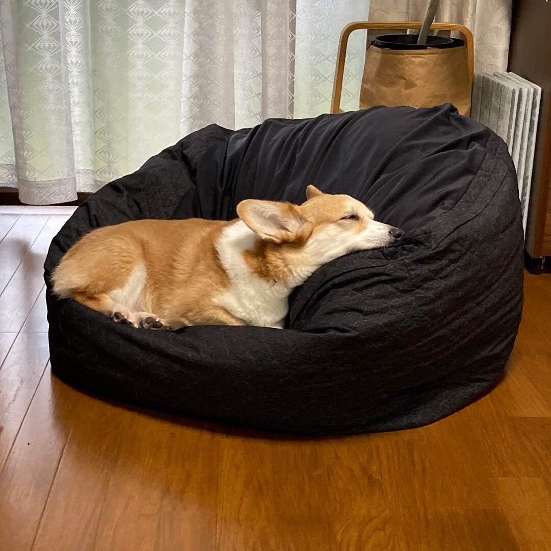 フィット