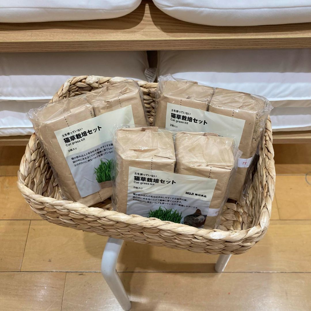 【アピタ阿久比】　２月２２日は猫の日！