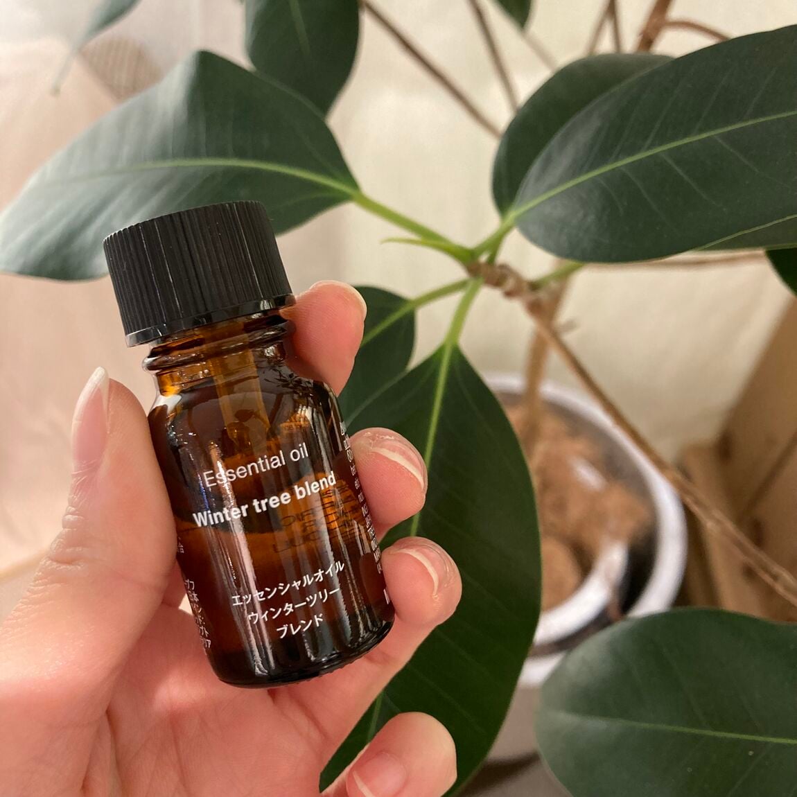 045517_20251201_No._03