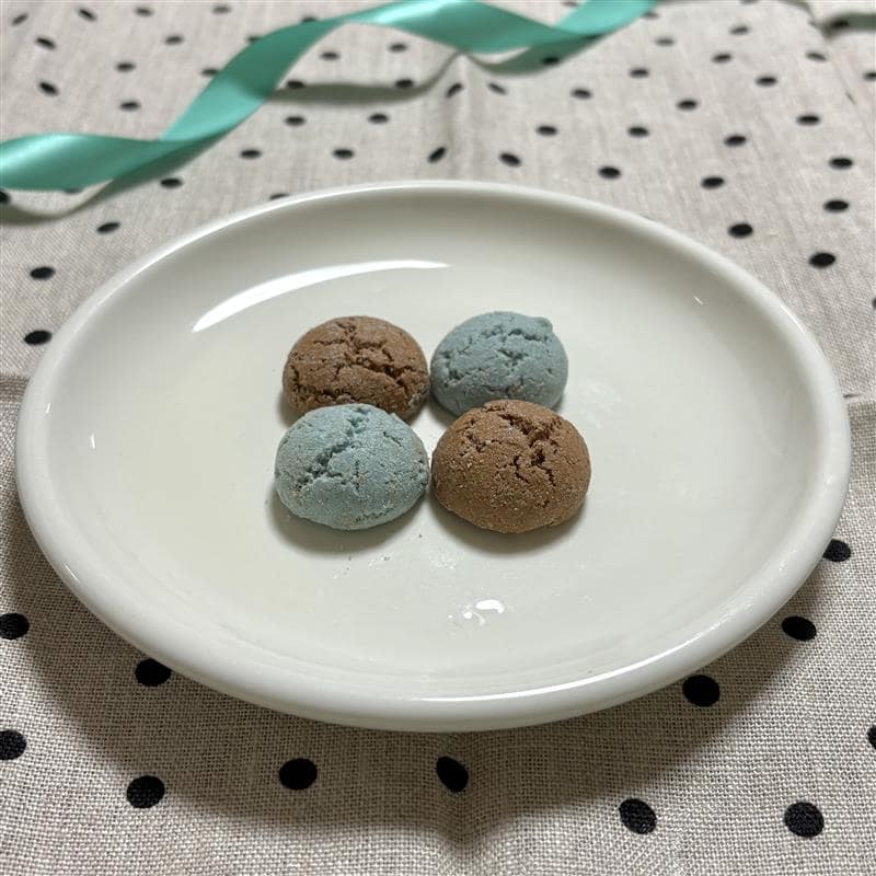 【泉中央セルバ】チョコミント