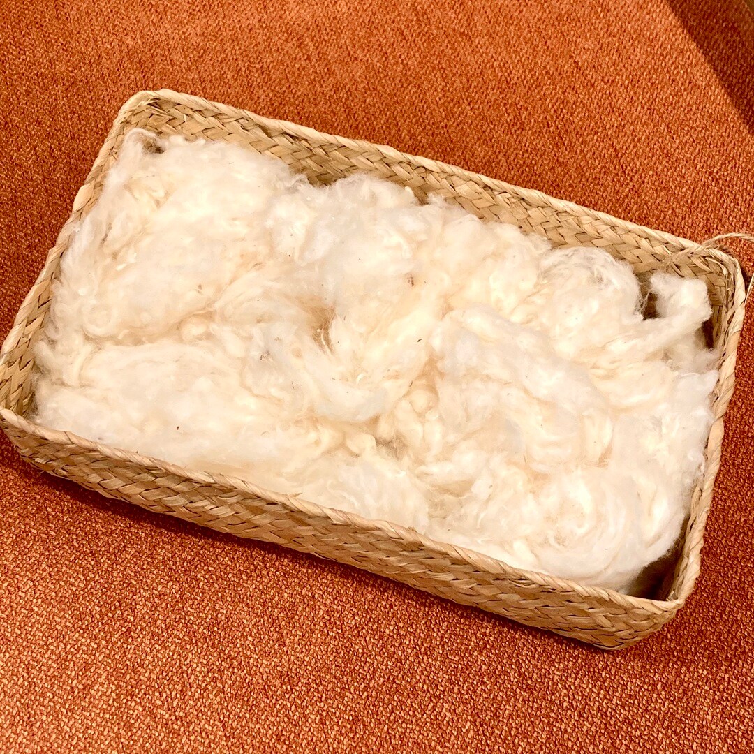 【テラスモール湘南】バスケットに綿をたっぷり入れた写真