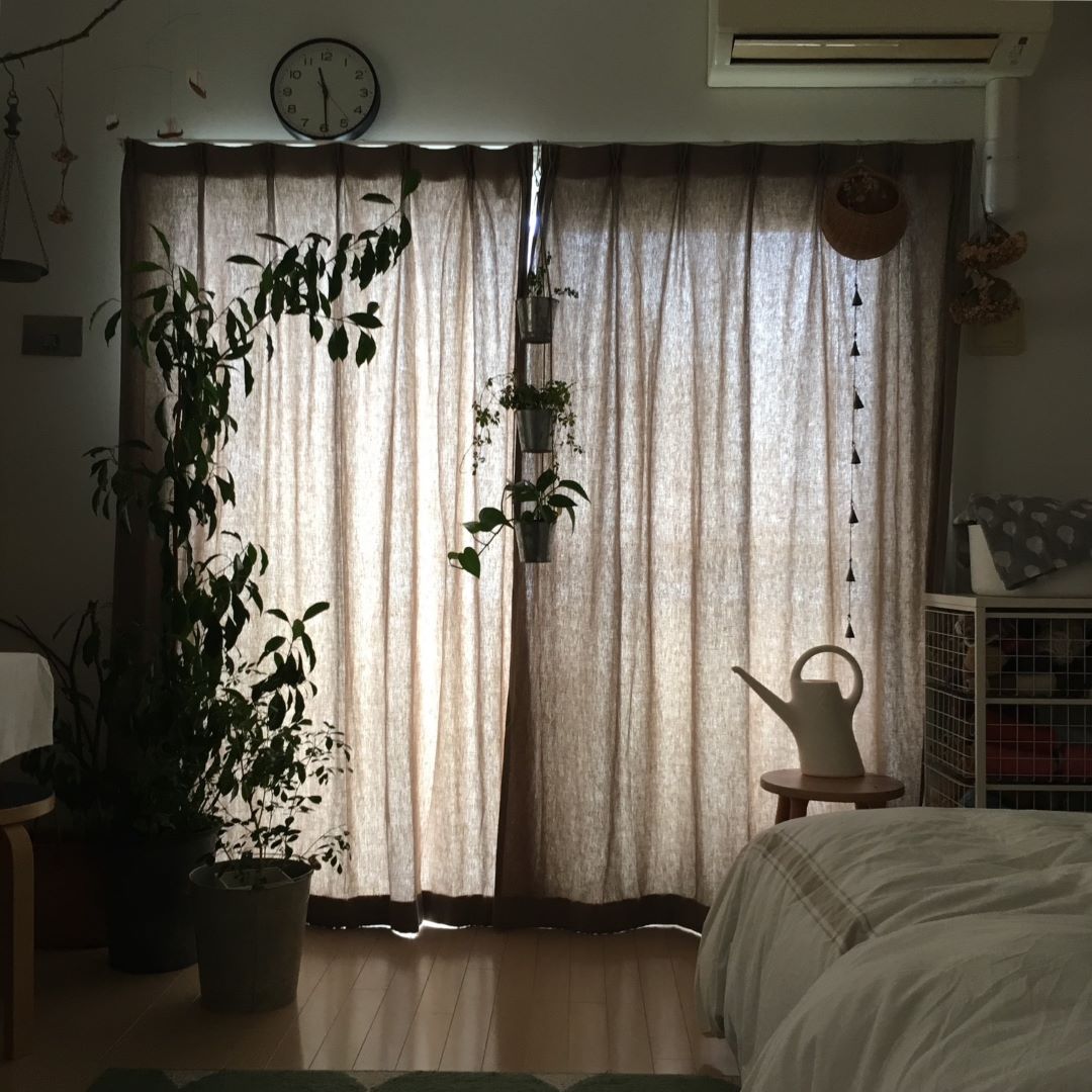 遮光なし