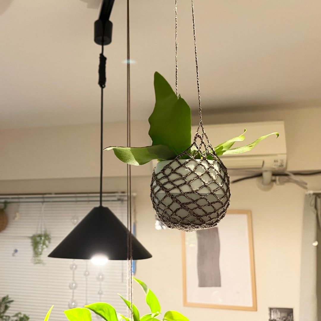 麻